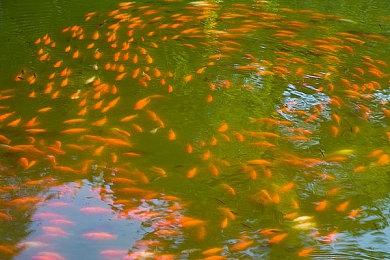 PS4固件9.0更新遭遇严重问题 部分玩家主机直接变砖