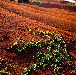 《星刃》15分钟地铁站及下水道关卡游玩演示