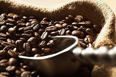 《辐射》电视剧制片人：这部剧基本相当于《辐射5》